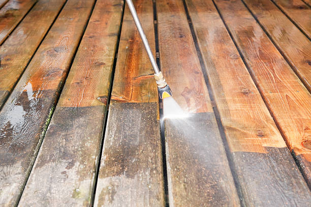 Best Residential Exterior Washing  in Vienna, GA